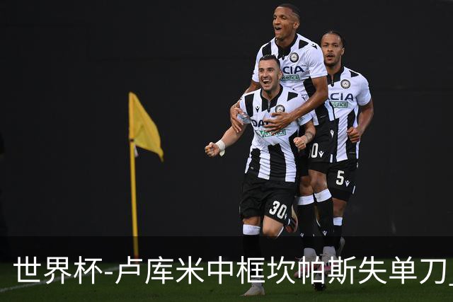 世界杯-卢库米中框坎帕斯失单刀 瑞士平哥伦比亚进点球