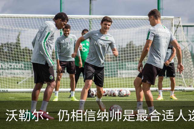 沃勒尔：仍相信纳帅是最合适人选 德国很难接受近3届世界杯表现