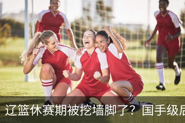 辽篮休赛期被挖墙脚了？国手级后卫恐被交易：变相逼着赵继伟走人