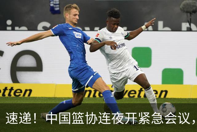 速递！中国篮协连夜开紧急会议，杜锋或顶替郭士强，赵继伟打封闭上阵