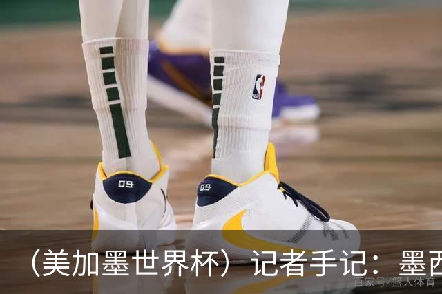 （美加墨世界杯）记者手记：墨西哥的足球，也很纯粹